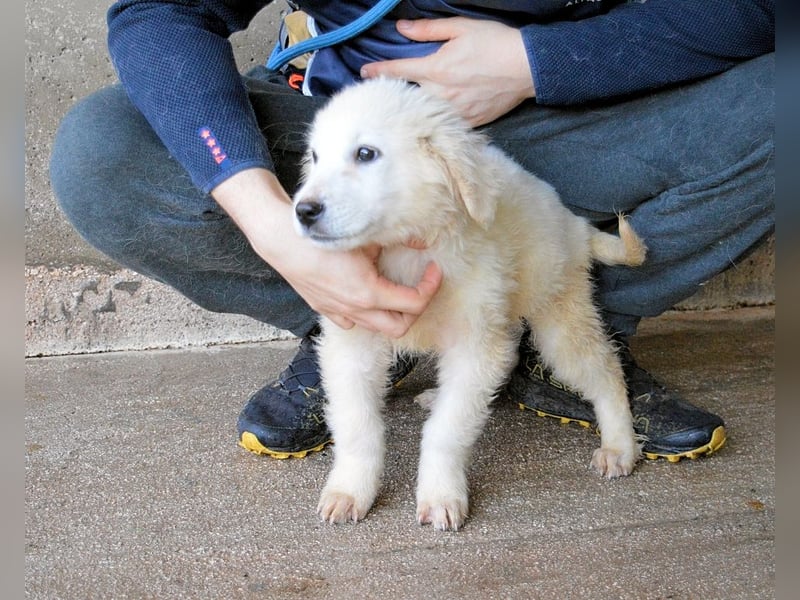 Cilwen - SOS - Weiß jemand, was aufpassen eigentlich heißt ?