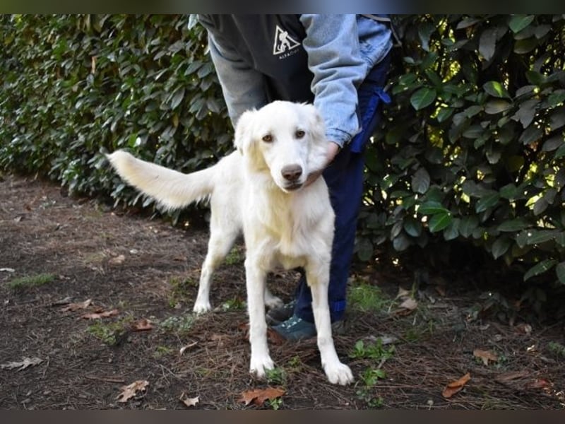 Thulin - Eigentlich ist ja alles da...