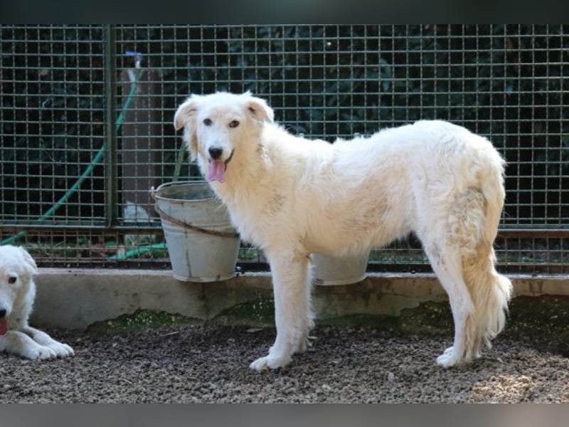 Alida - Unter dem Mantel der Verwahrlosung