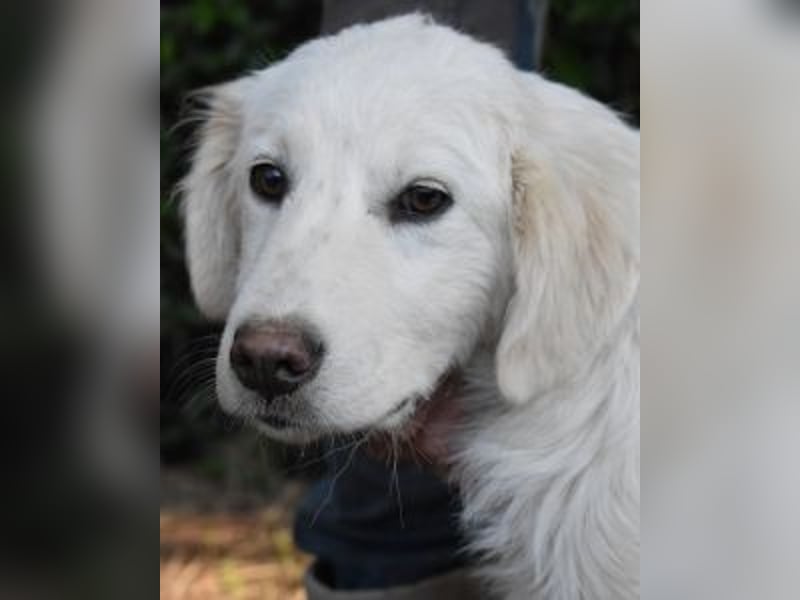 Syrio - So jung und so chancenlos ..