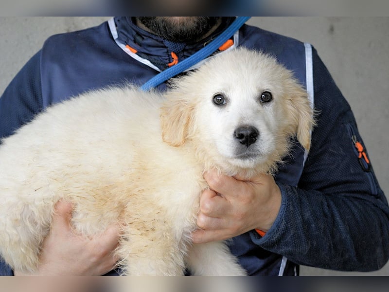 Cilwen - SOS - Weiß jemand, was aufpassen eigentlich heißt ?