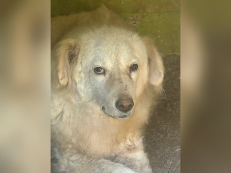 Graciela - NOTFALL - Was hatte sie schon...