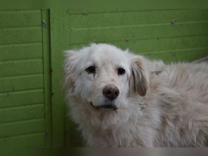 Graciela - NOTFALL - Was hatte sie schon...