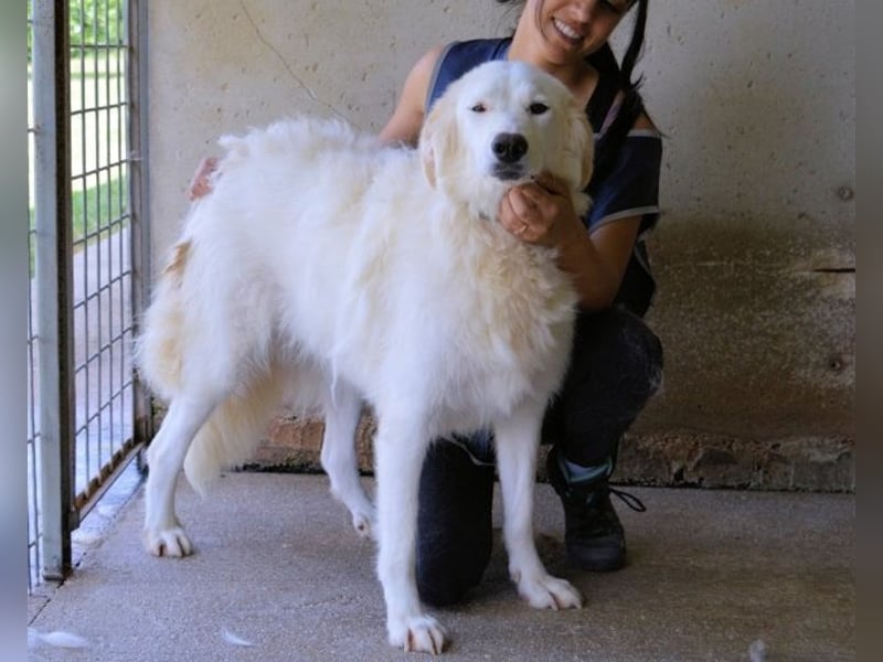 Kandie - Allein im Grau