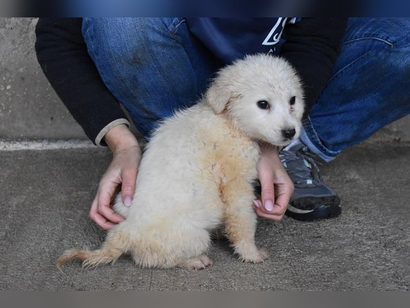 Cilwen - SOS - Weiß jemand, was aufpassen eigentlich heißt ?