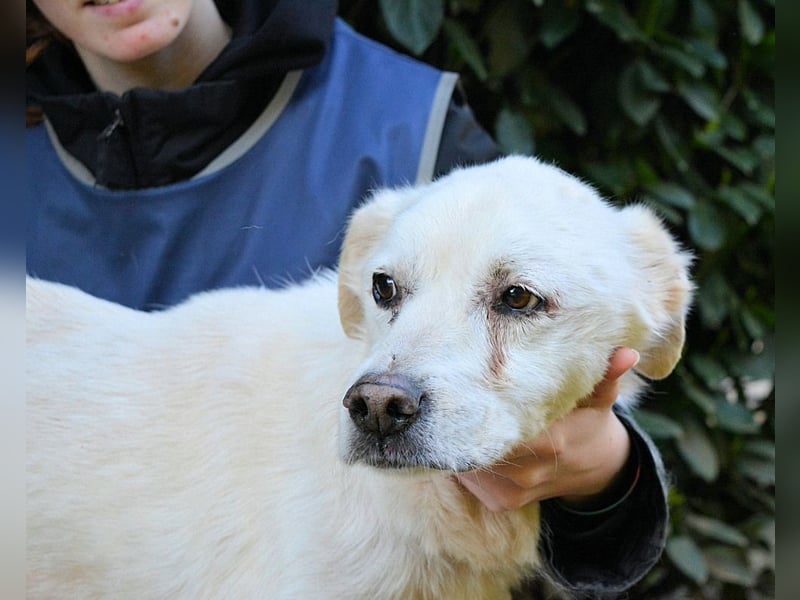 Talete - NOTFALL - Wenn man ehrlich ist