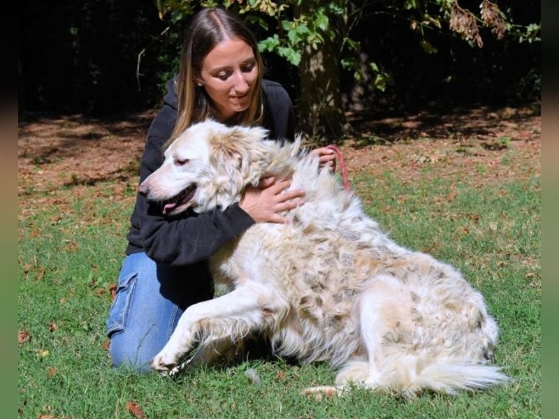 Hadeus - Wovon träumst du?