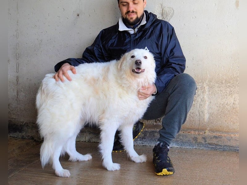Wania - Zur falschen Zeit am falschen Ort...