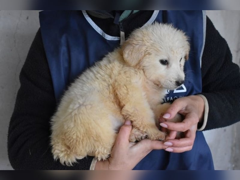 Cilwen - Weiß jemand, was aufpassen eigentlich heißt ?