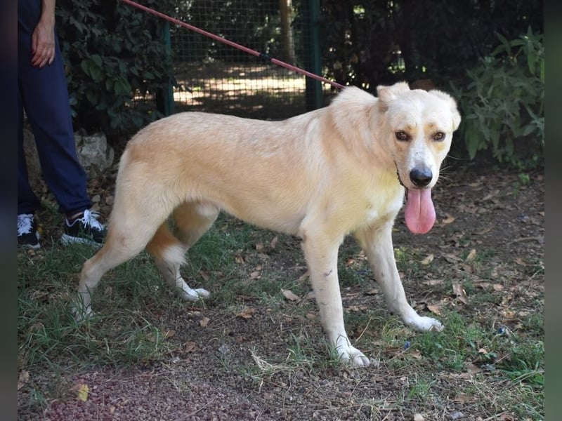 Admeto - Nur ein Wunsch: endlich nach Hause!