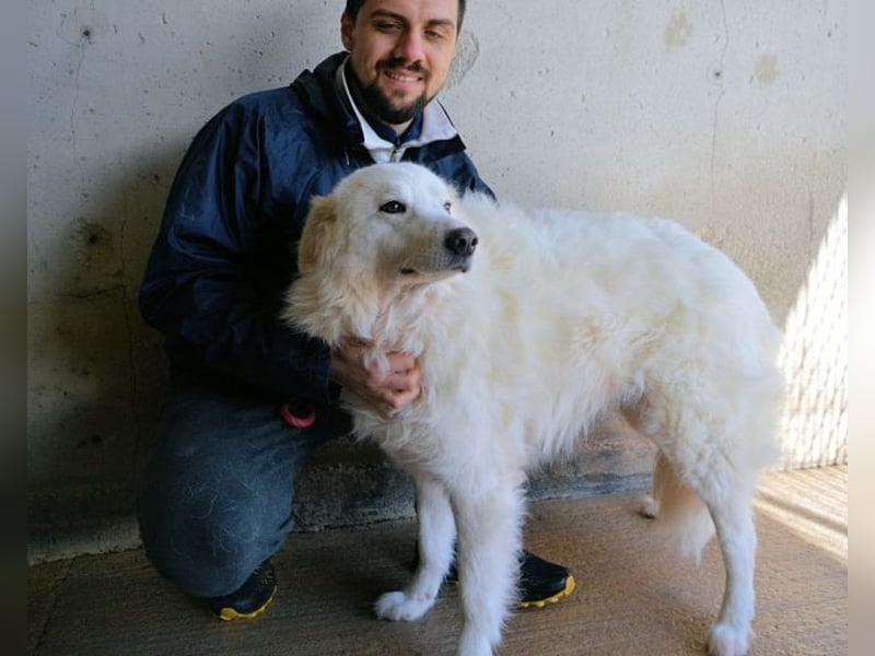 Wania - Zur falschen Zeit am falschen Ort...