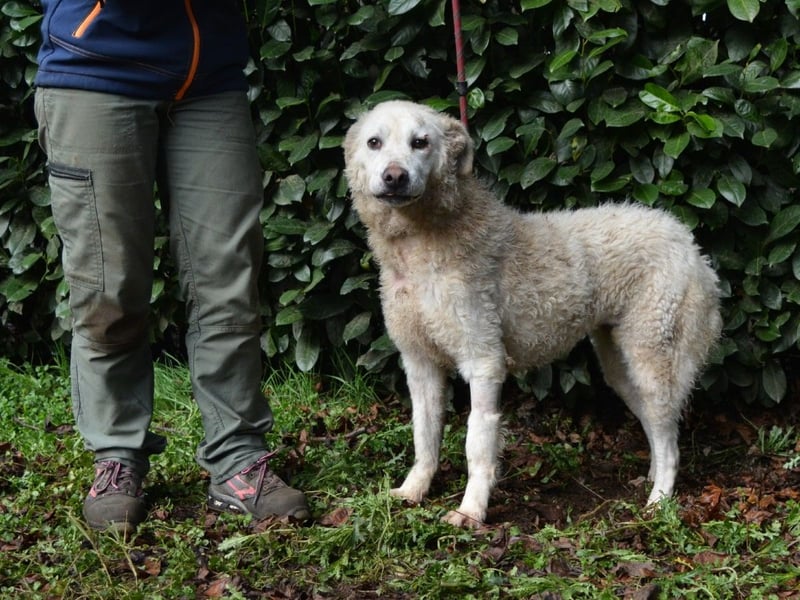 Generosa - Ein Adler bleibt ein Adler...