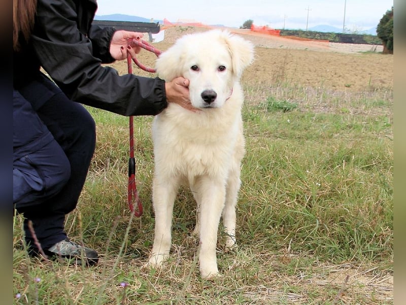 Garth - Kannst du machen, dass es nicht so lange dauert?