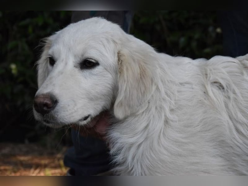 Syrio - So jung und so chancenlos ..