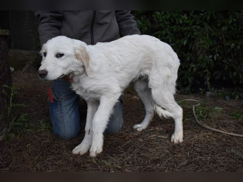 Stobin - So jung und so chancenlos ...