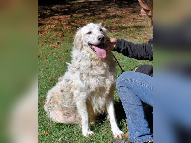 Hadeus - Wovon träumst du?