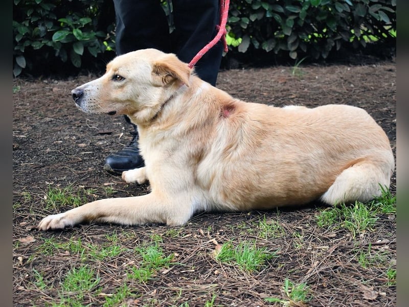 Admeto - Nur ein Wunsch: endlich nach Hause!