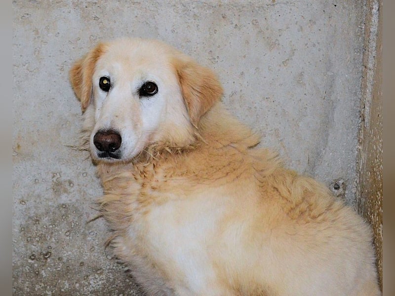 Frieder - Gibt es ein Leben jenseits von Schmerz und Einsamkeit?
