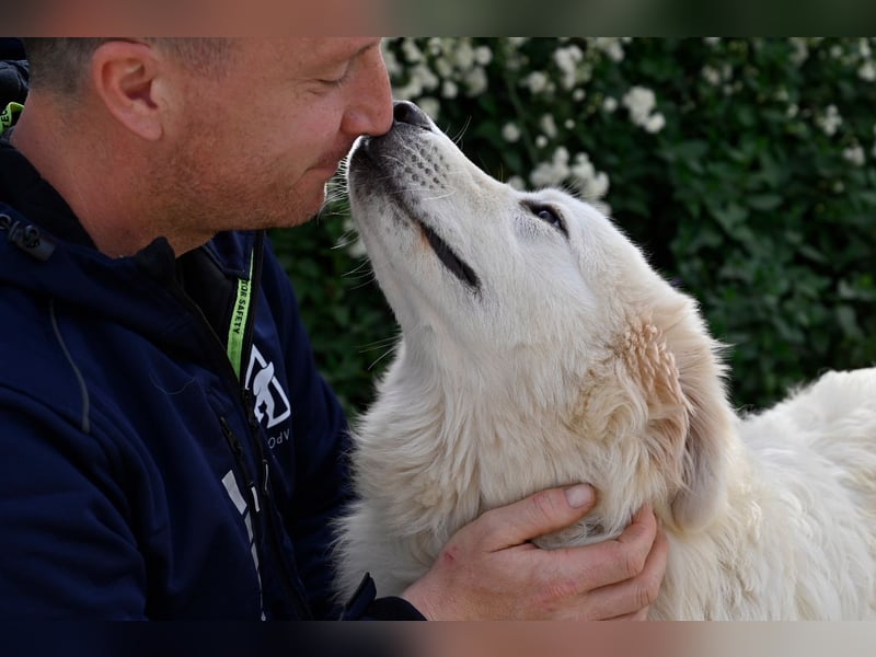 Garth - Kannst du machen, dass es nicht so lange dauert?