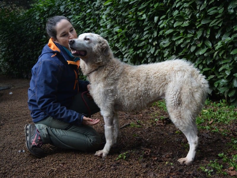 Generosa - Ein Adler bleibt ein Adler...