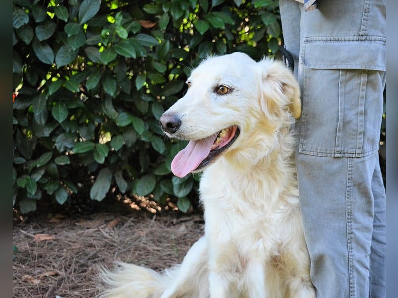 Hadeus - Wovon träumst du?