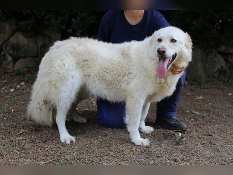 Fyona - Hell wie das Licht