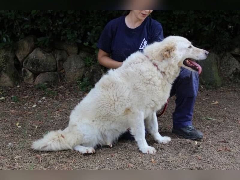 Fyona - Hell wie das Licht