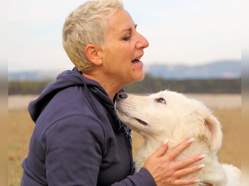 Garth - Kannst du machen, dass es nicht so lange dauert?