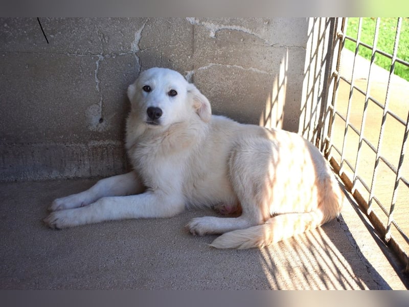 Ryther - Für diese traurige Geschicht...