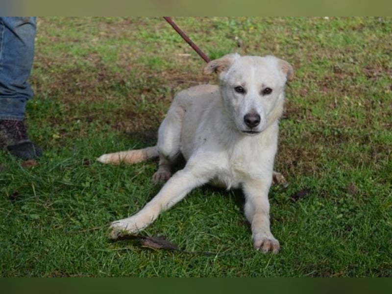 Admeto - Nur ein Wunsch: endlich nach Hause!