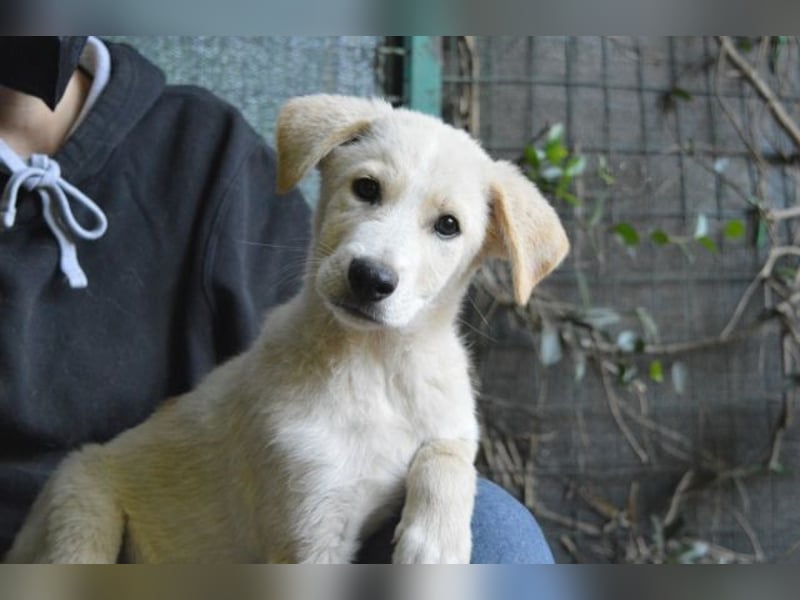 Admeto - Nur ein Wunsch: endlich nach Hause!