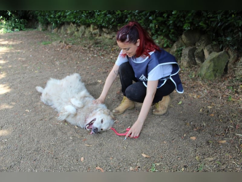 Papak - Nutze den Tag!