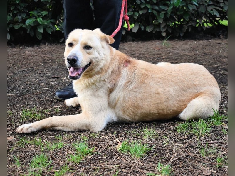 Admeto - Nur ein Wunsch: endlich nach Hause!