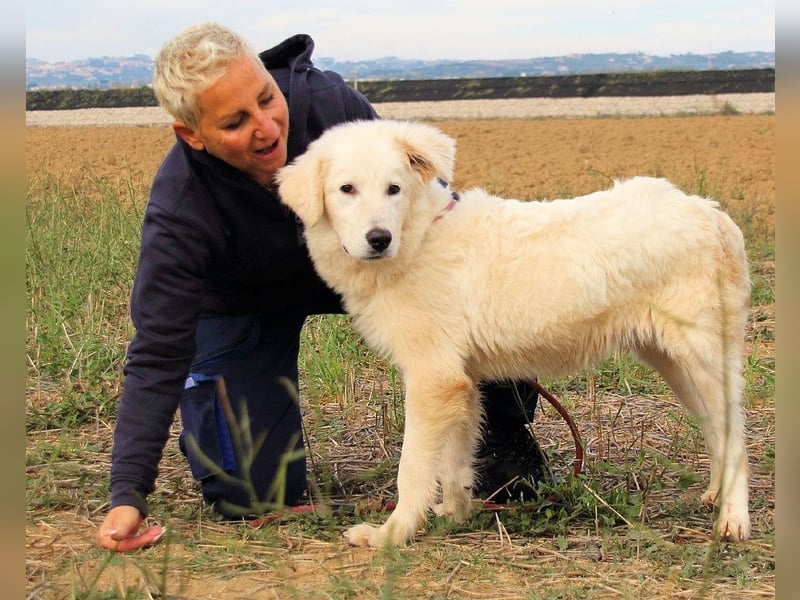 Garth - Kannst du machen, dass es nicht so lange dauert?