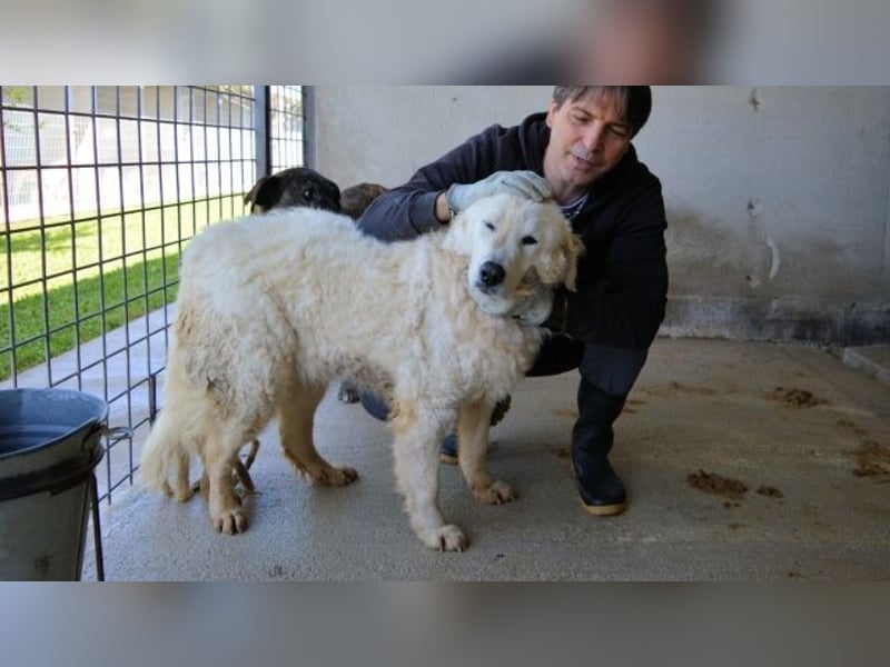 Imeria - Vielleicht bin ich dein leises Ja?