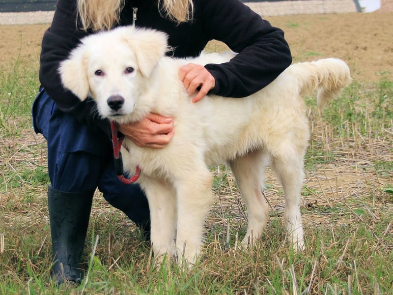 Garth - Kannst du machen, dass es nicht so lange dauert?