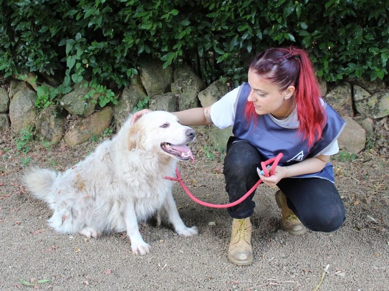 Papak - Nutze den Tag!