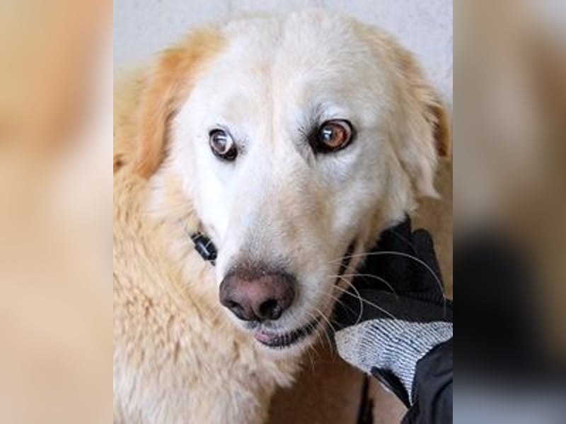 Frieder - Gibt es ein Leben jenseits von Schmerz und Einsamkeit?