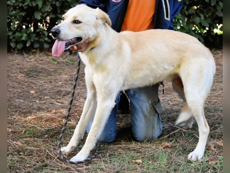 Admeto - Nur ein Wunsch: endlich nach Hause!