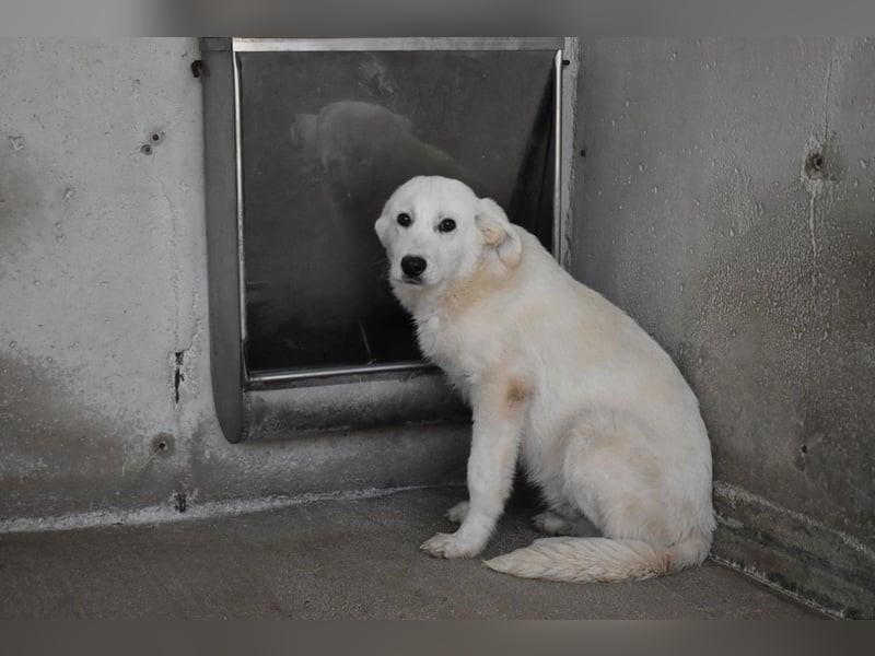 Ryther - Für diese traurige Geschicht...