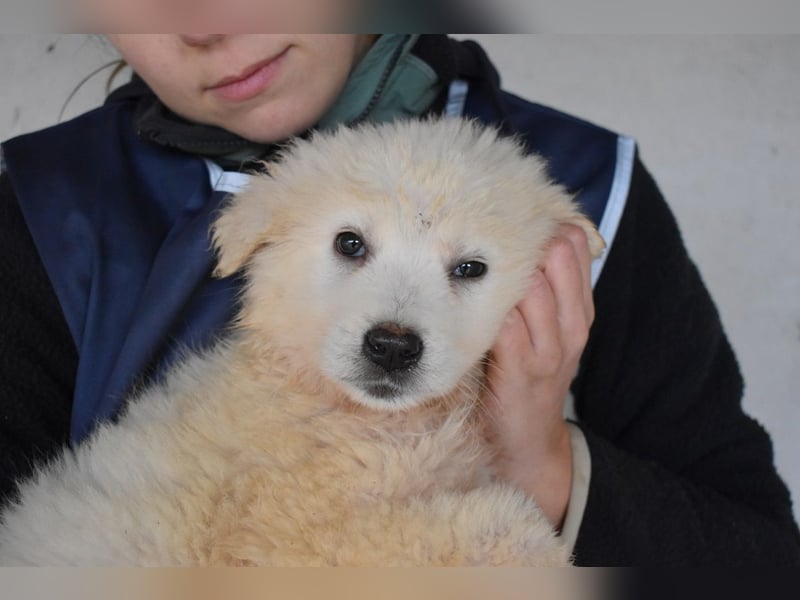 Calira - SOS - Weiß jemand, was aufpassen eigentlich heißt?