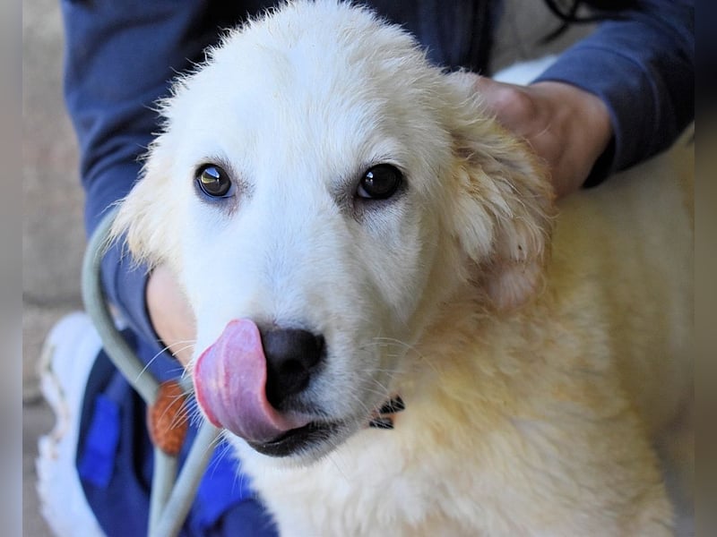 Cilwen - SOS - Weiß jemand, was aufpassen eigentlich heißt ?
