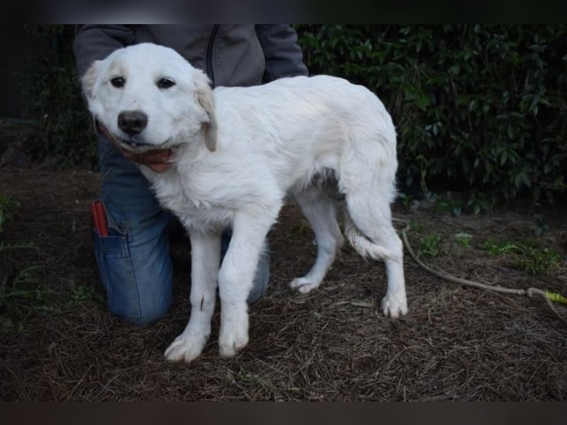 Stobin - So jung und so chancenlos ...