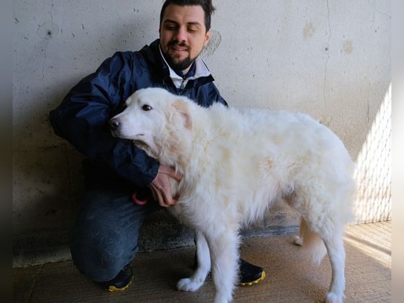 Wania - Zur falschen Zeit am falschen Ort...