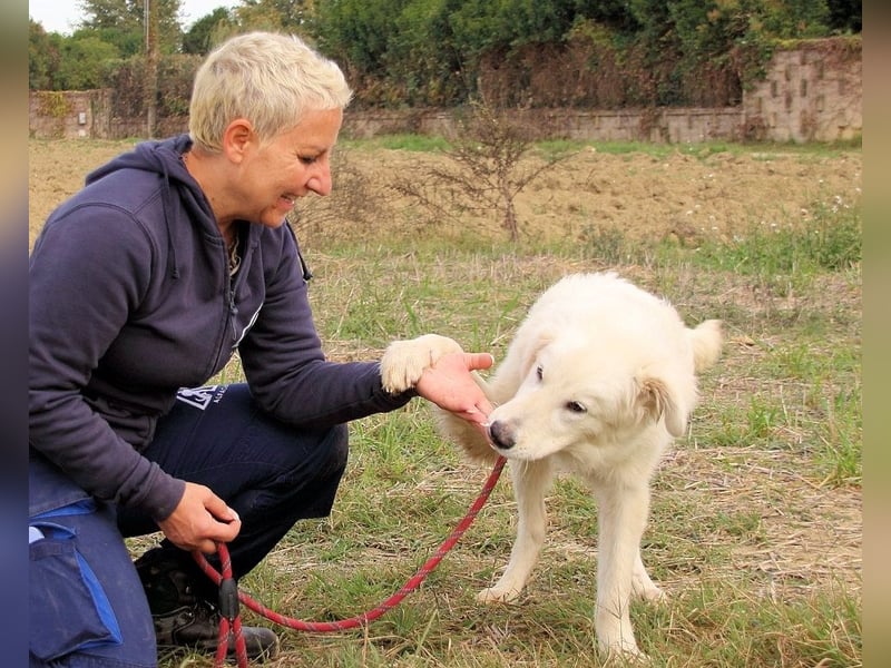 Garth - Kannst du machen, dass es nicht so lange dauert?