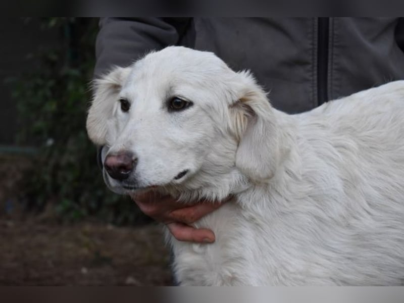 Solitelle - So jung und so chancenlos ...