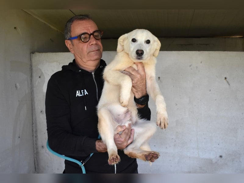 Roderico - Für diese traurige Geschicht...