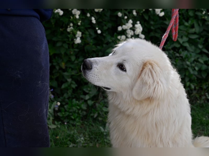 Garth - Kannst du machen, dass es nicht so lange dauert?