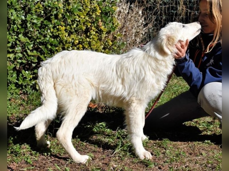 Heathon - sucht die Liebe seines Lebens