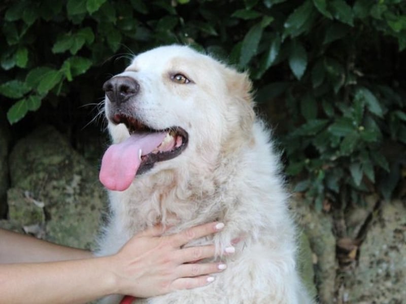 Papak - Nutze den Tag!